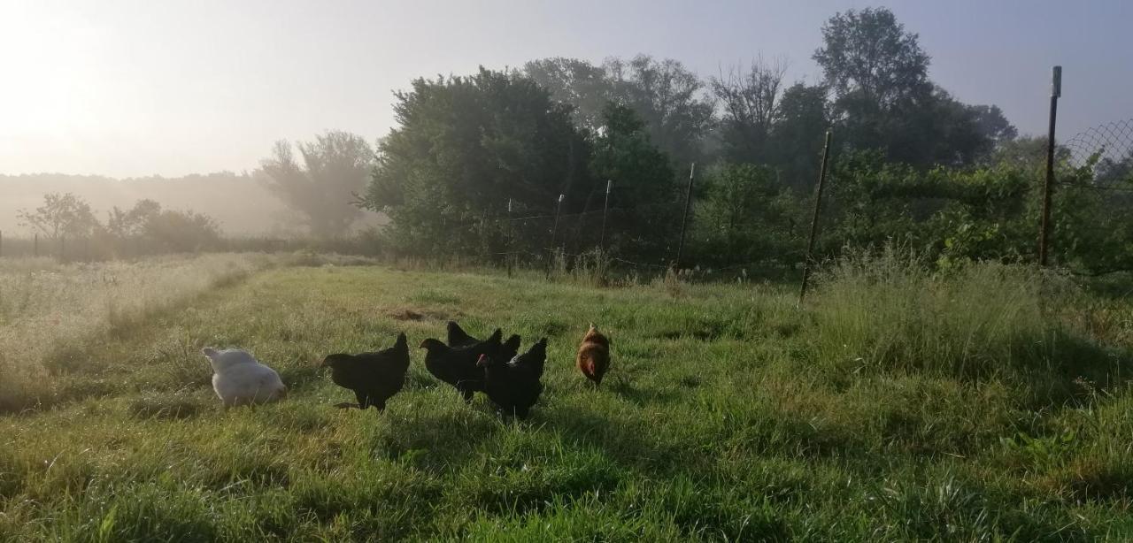 Appartamento Nakonci Vacenovice Esterno foto